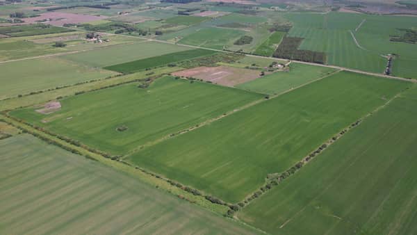 41.6 hectáreas. Agrícola en Artigas Uruguay